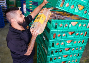 Staff putting loaf of bread in large green tray