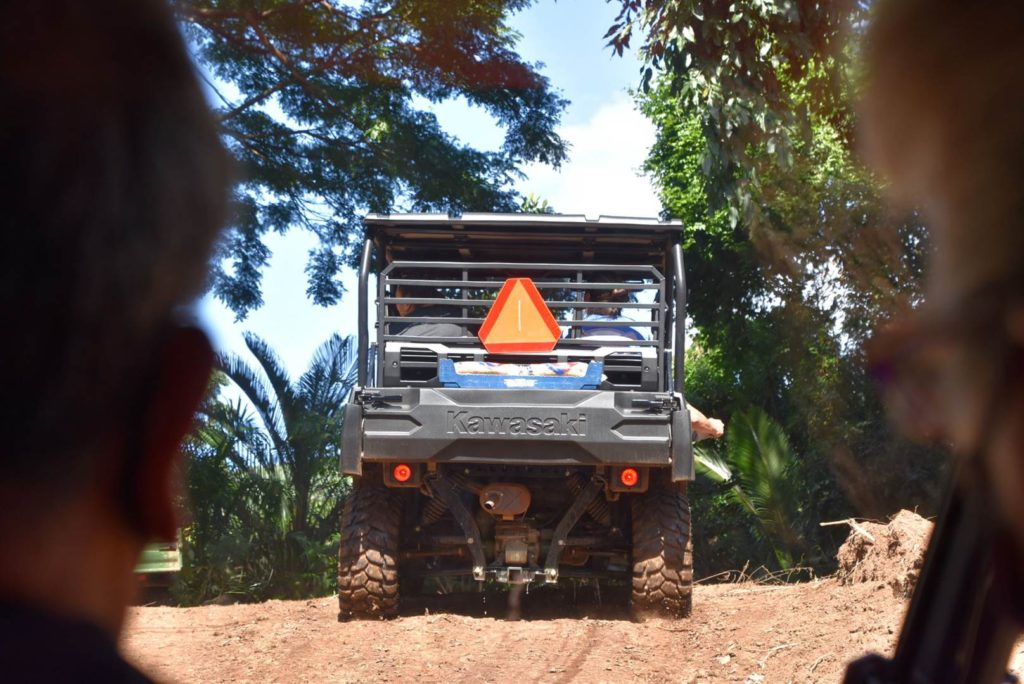 Waimea Landslide 6