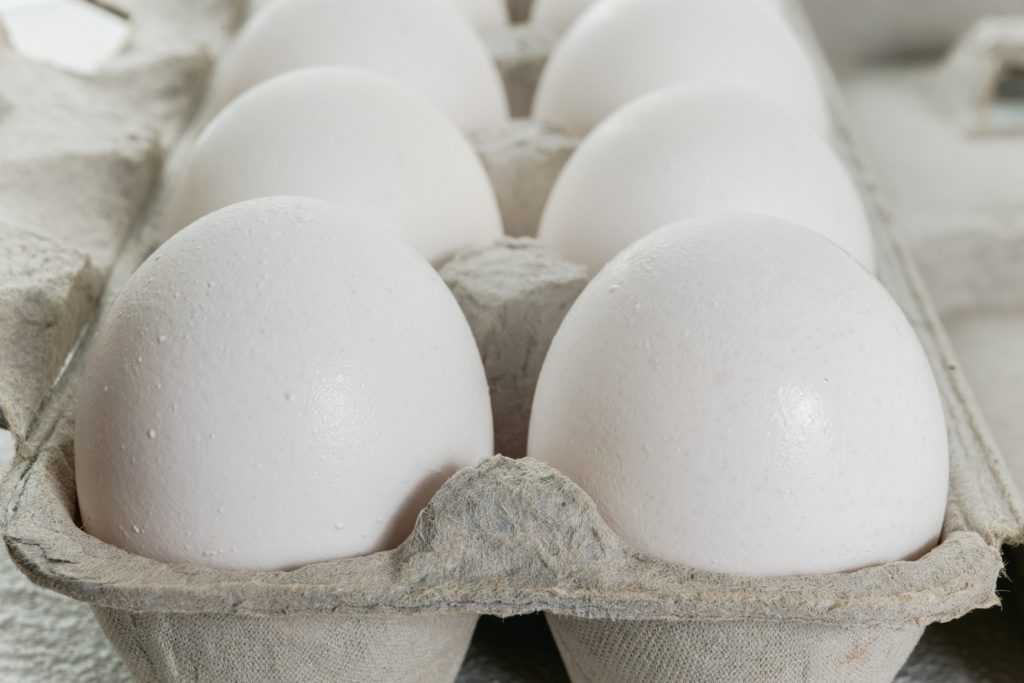 Get Egg-cited! HFA begins Egg Distribution