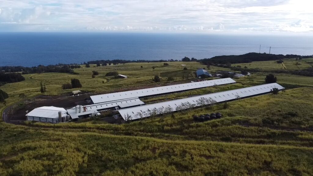 Awarded the Lease for Oʻokala Dairy