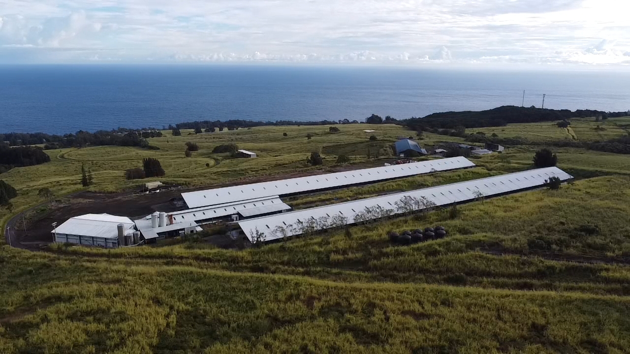 Read more about the article Awarded the Lease for Oʻokala Dairy