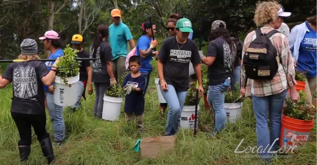 Puuwaawaa Restoration Community Service