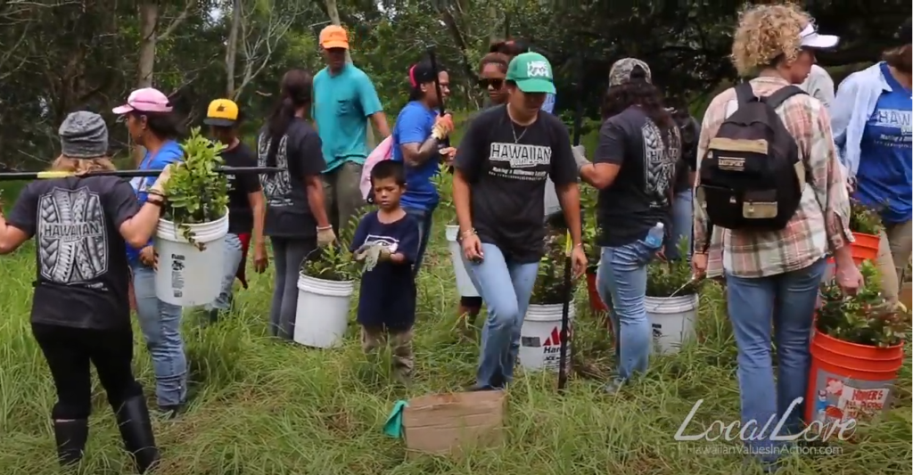 Pu’u Wa’awa’a Forest Restoration Project